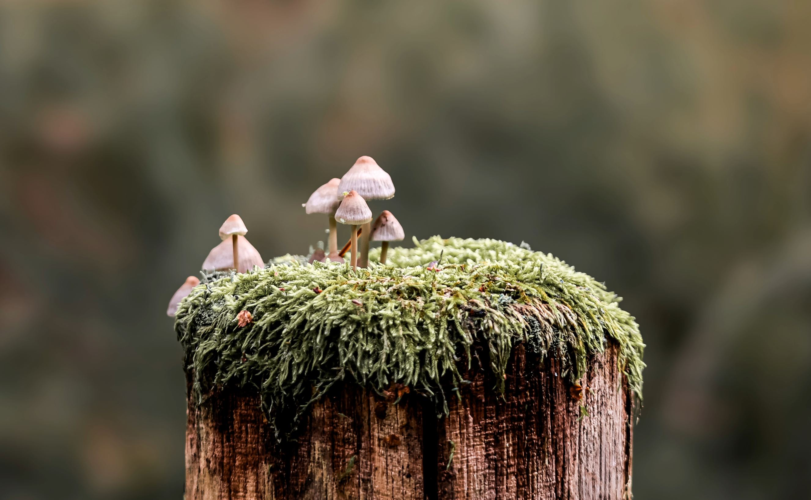 LZ2A2926 (1) (1).png